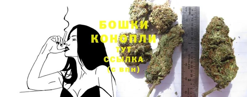 МАРИХУАНА SATIVA & INDICA  Новозыбков 